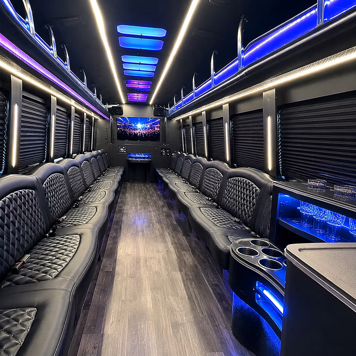 McAllen Private Event Transportation party bus interior