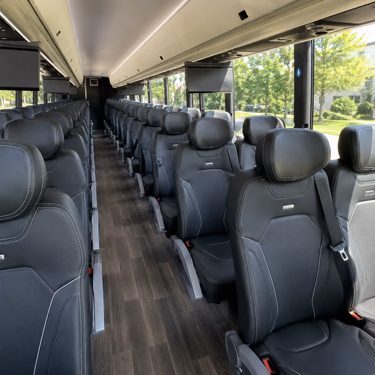 McAllen School Event Transportation party bus exterior