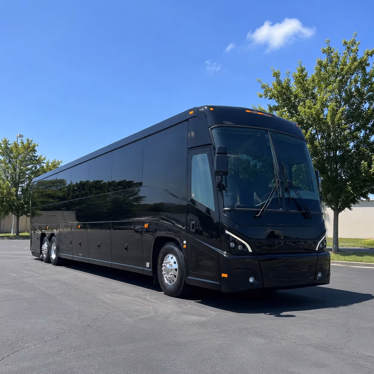 McAllen School Event Transportation party bus exterior